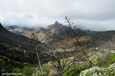 Gran Canaria atrakcje